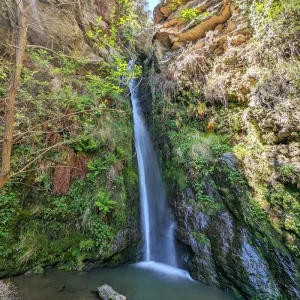 el chorreron de pitres